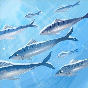 Meet your Posher, Queen